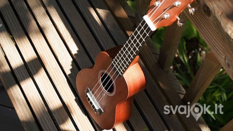 ukuleles-pamokos-vilniuje-kaune-ir-siauliuose-cover