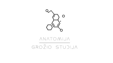 grozio-studijos-anatomija-dovanu-cekis-cover