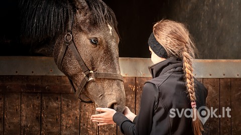 edukacine-programa-apie-zirgus-vaikams-3-12-metu-cover