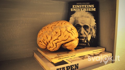 Einšteino dingusių smegenų kambarys